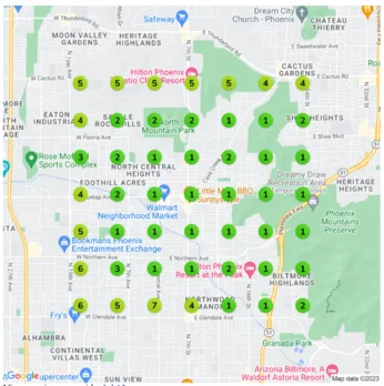 Google Map Pack Local SEO Results